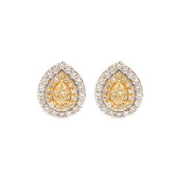 Pear Shaped Yellow Diamond Stud Earrings in Gold – Halo Setting with White & Yellow Diamonds, Elegant Fine Jewelry