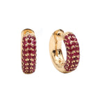Ruby Earrings