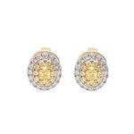Yellow Diamond Diamond Earrings
