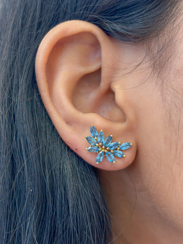 Aquamarine Earrings