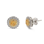 Diamond Yellow Diamond Earrings
