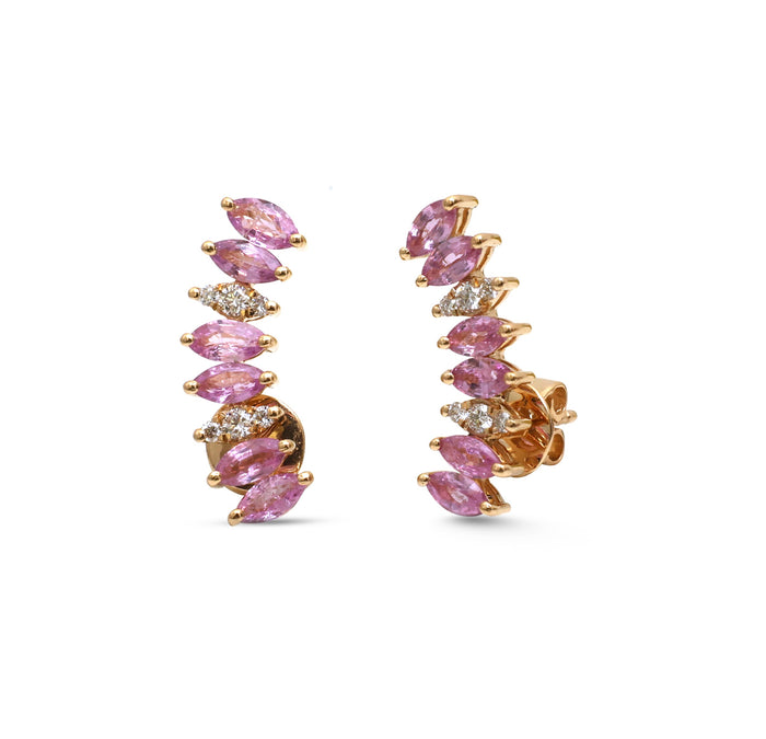 Pink Sapphire Collection