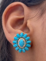 Turquoise Diamond Earrings